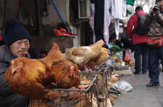 Shanghai old town street market