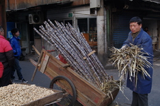 Shanghai old town street market - Zuckerrohr